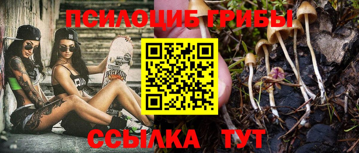 Псилоцибиновые грибы GOLDEN TEACHER Альметьевск