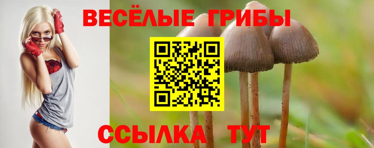 Галлюциногенные грибы мухоморы  купить  сайты  Альметьевск  Вход с VPN  Галлюциногенные грибы ЛСД 